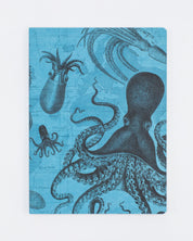 Oktopus & Tintenfisch Softcover - Gefüttert