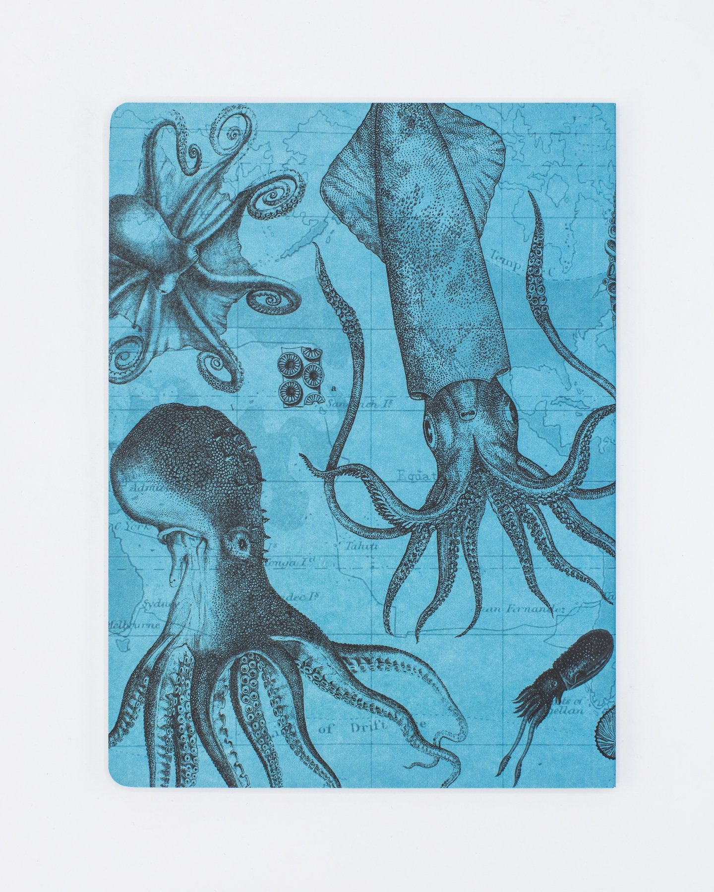 Octopus & Squid Softcover Notebook - Lined