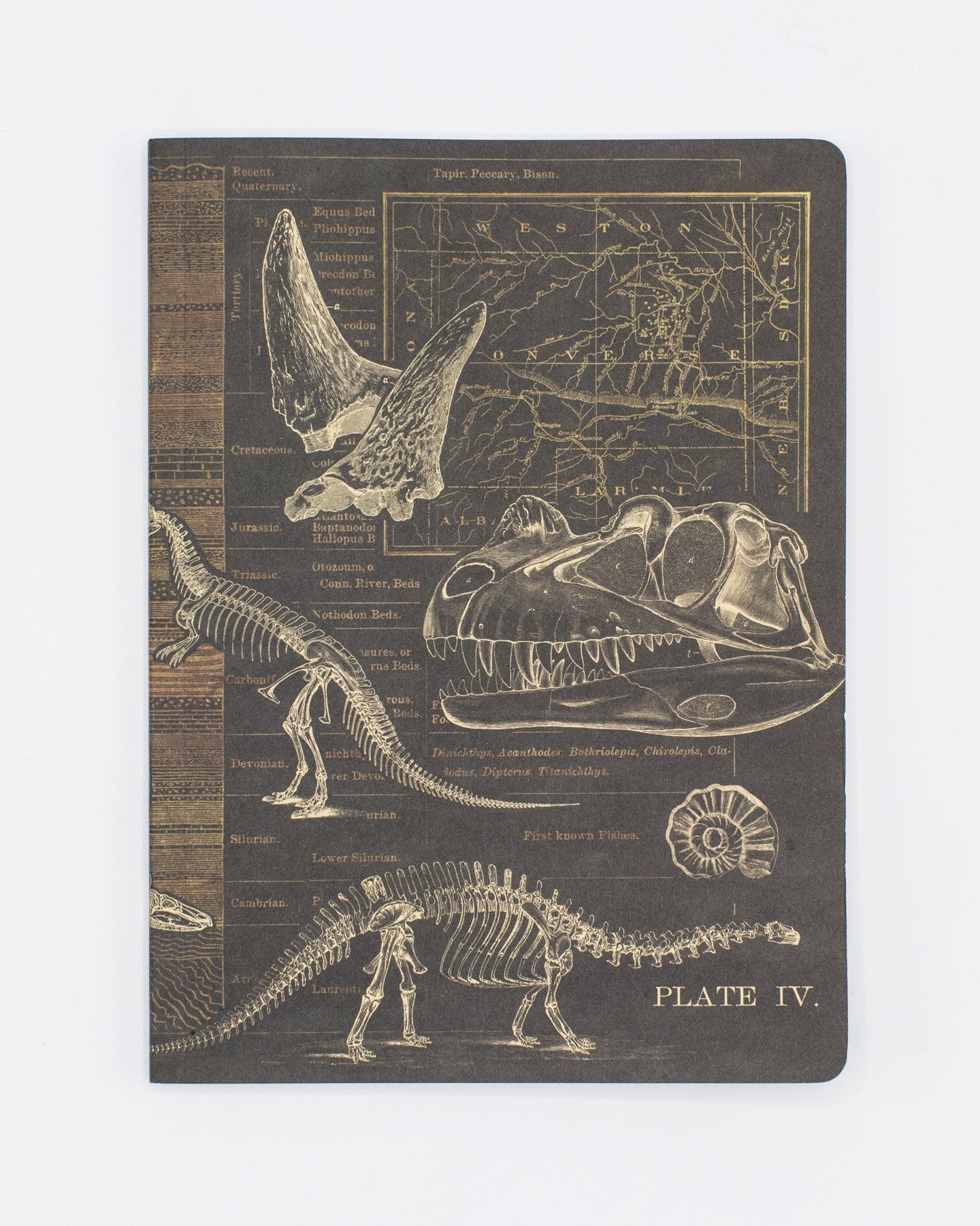 Dinosaur Softcover Notebook - Dot Grid