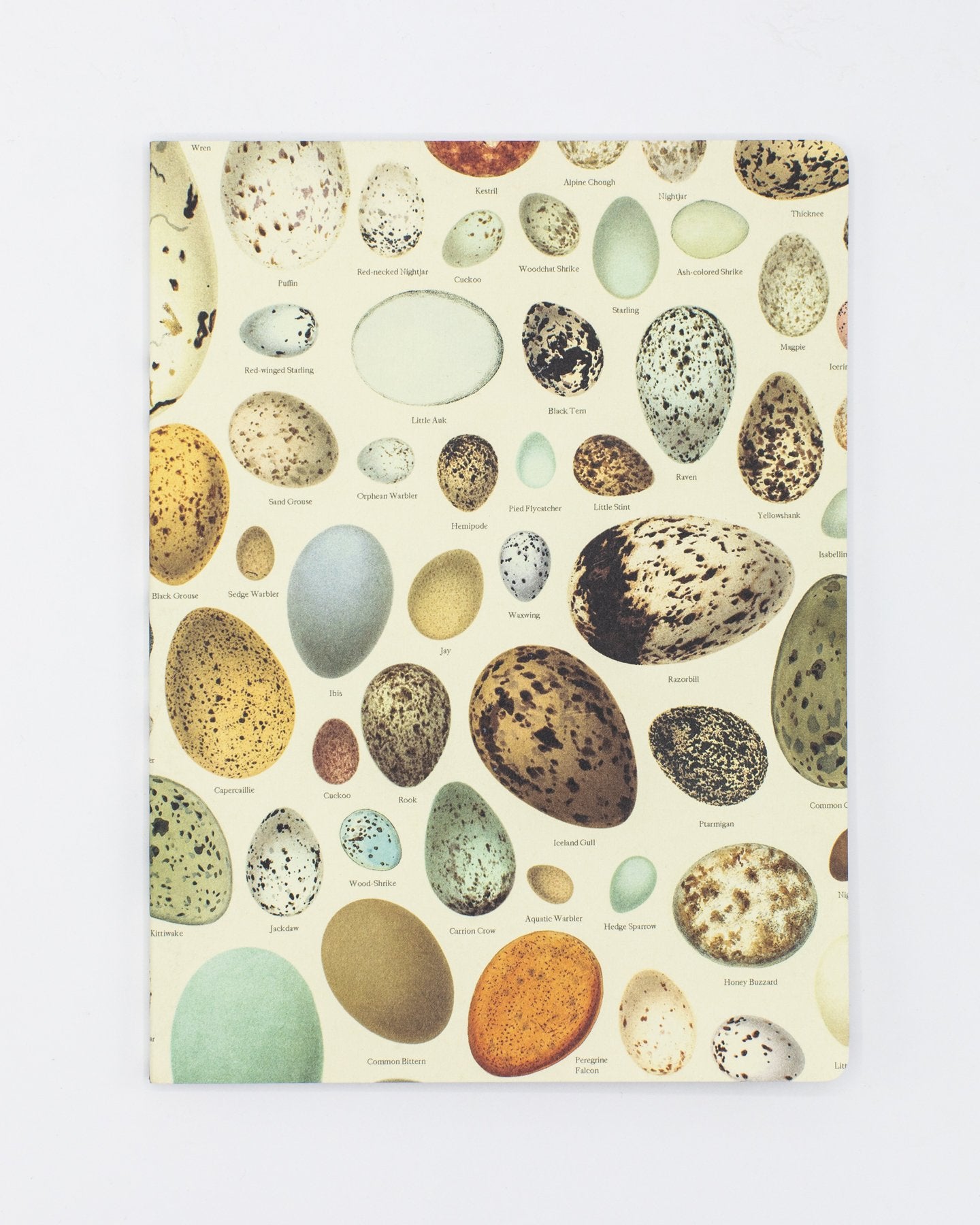 Eggs Softcover Notebook - Lined