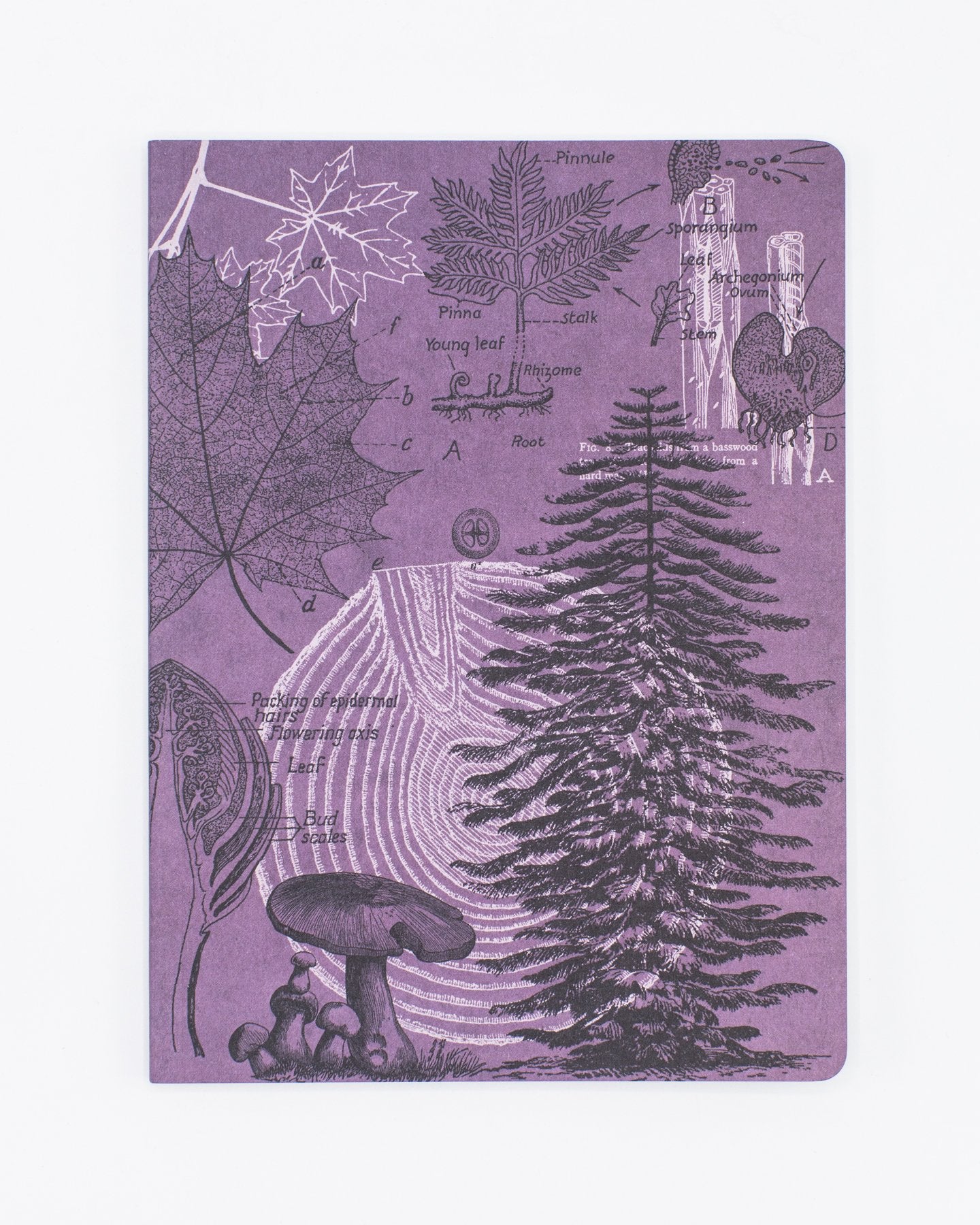 Forest at Dusk Softcover Notebook - Lined