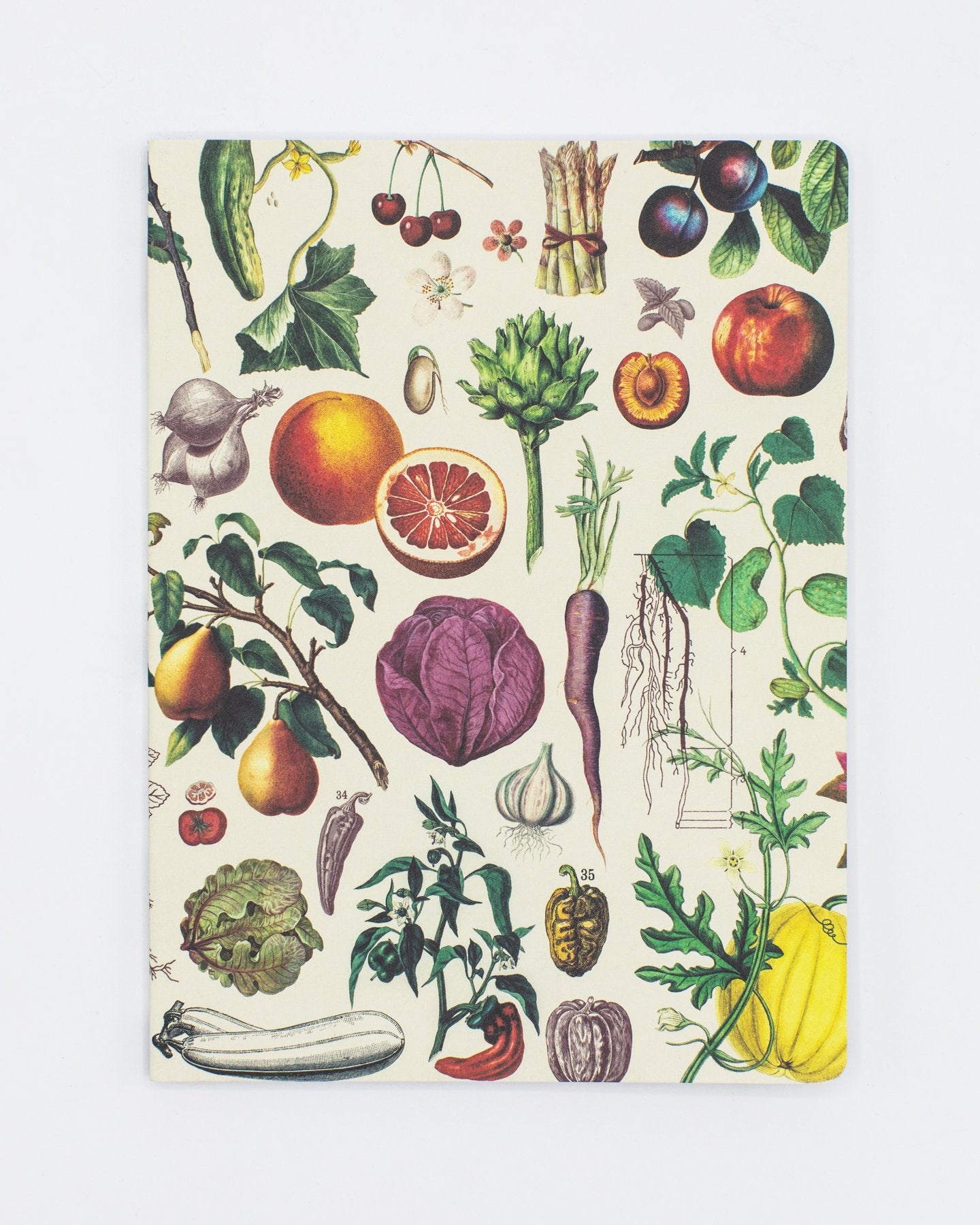 Fruits & Vegetables Softcover Notebook - Dot Grid
