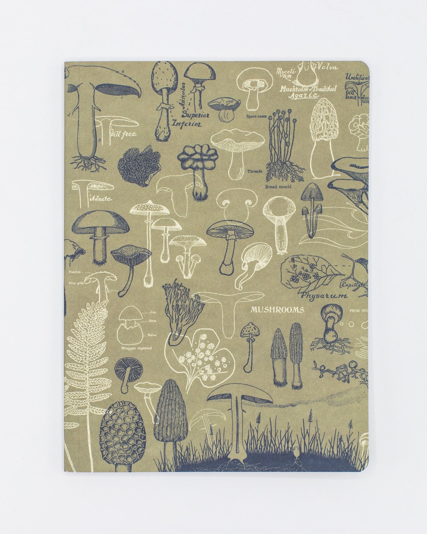 Mushrooms Softcover Notebook - Lined