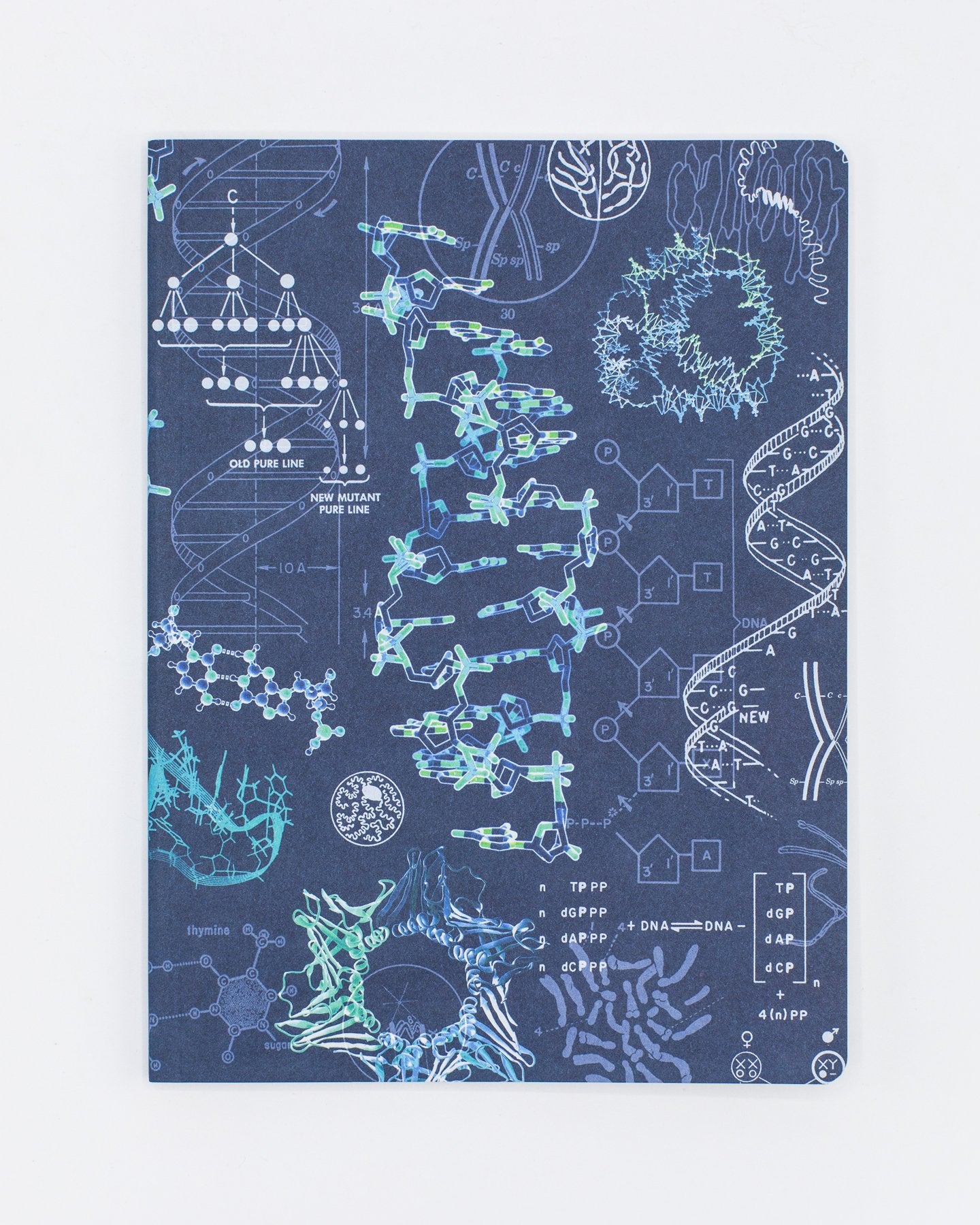 Genetics Plate 2 Softcover Notebook - Dot Grid