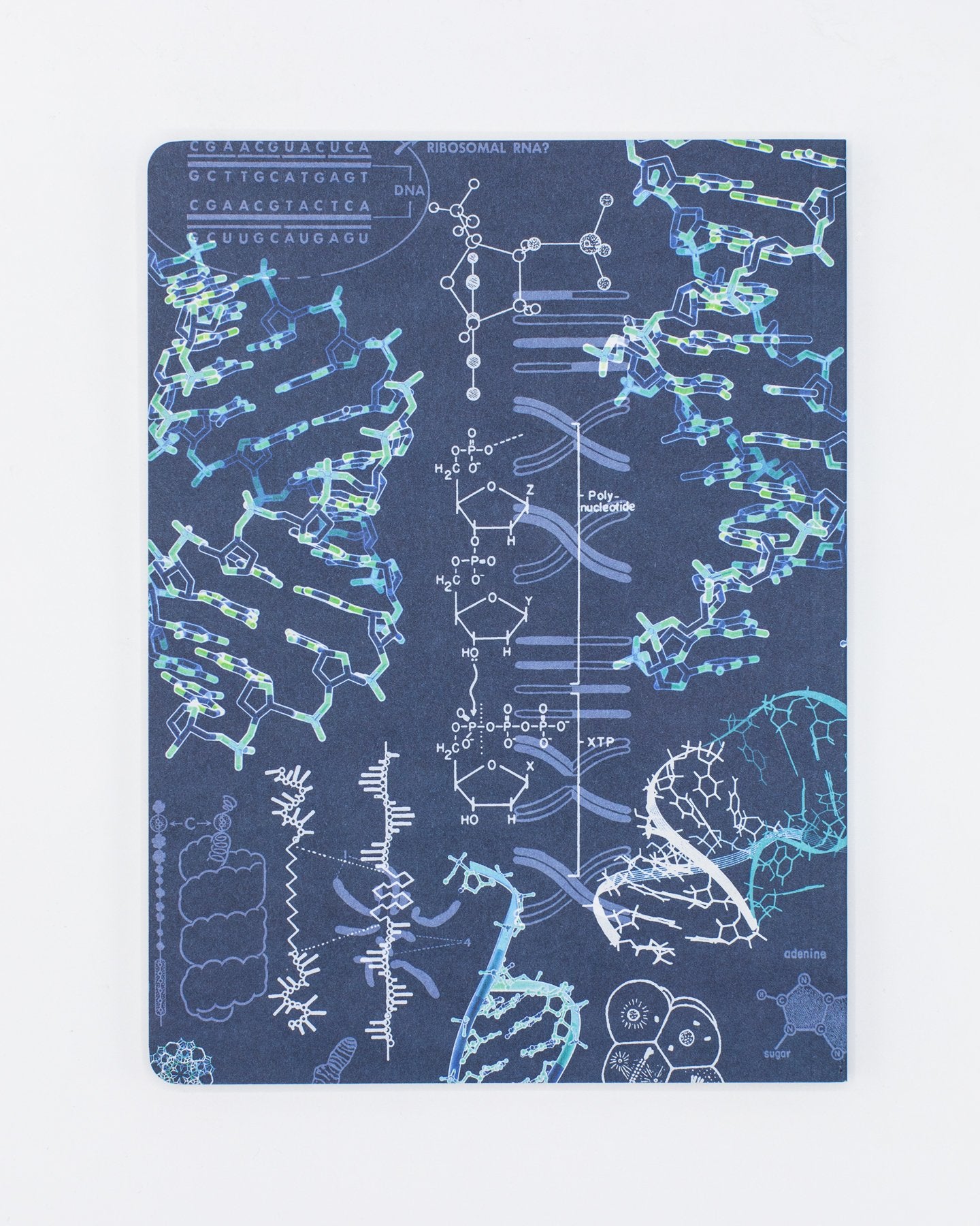 Genetics Plate 2 Softcover Notebook - Dot Grid