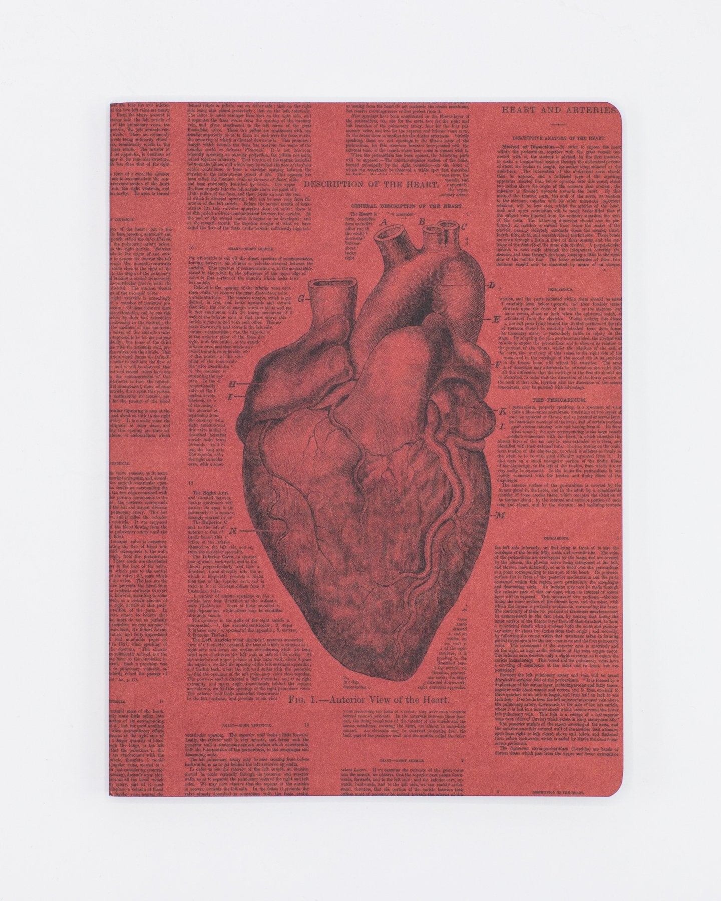 Tapa blanda Anatomical Heart - Forrado