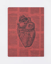 Anatomisches Herz Softcover - Gefüttert