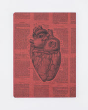 Tapa blanda Anatomical Heart - Forrado