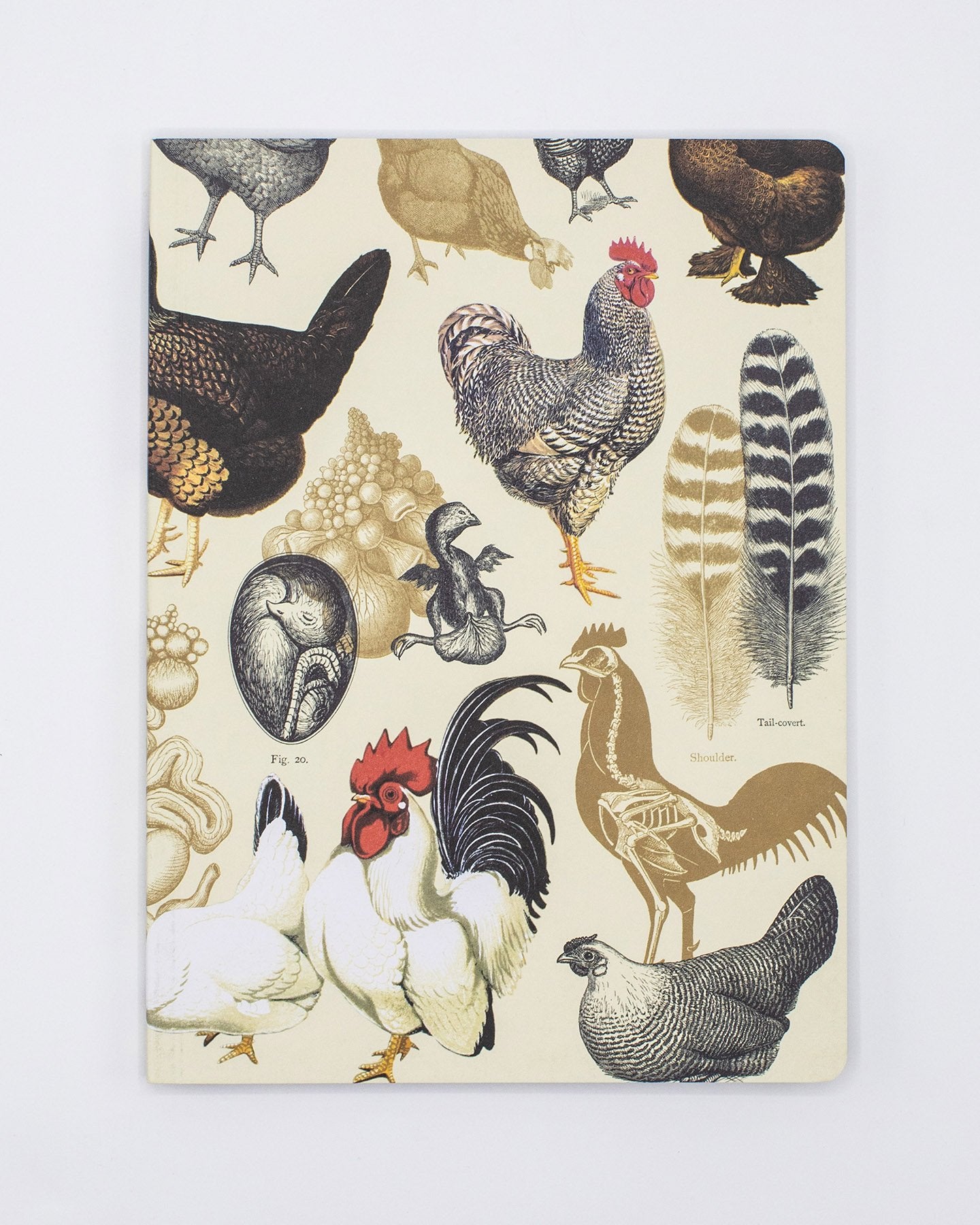 Chicken Softcover Notebook - Lined