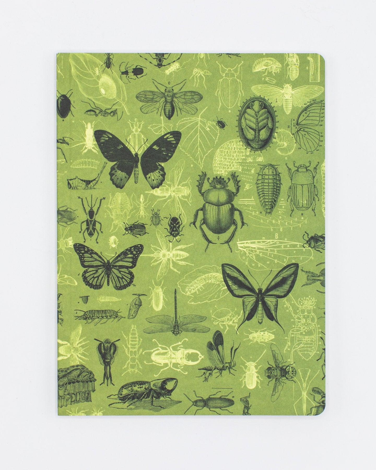 Insects Butterflies & Beetles Softcover Notebook - Dot Grid