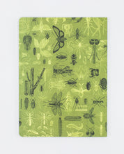 Insects Butterflies & Beetles Softcover Notebook - Dot Grid