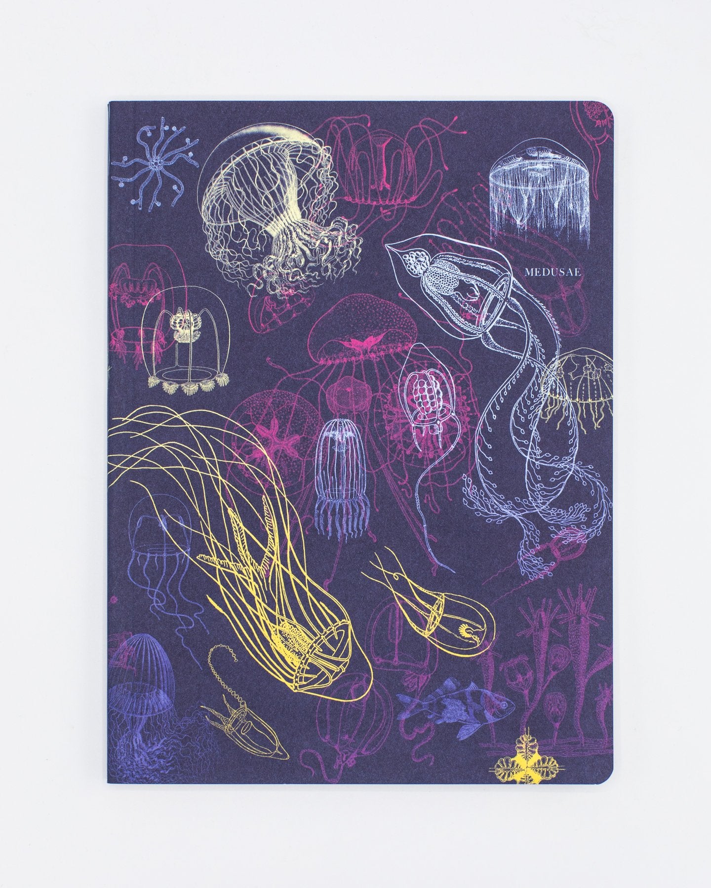 Jellyfish Softcover Notebook - Lined