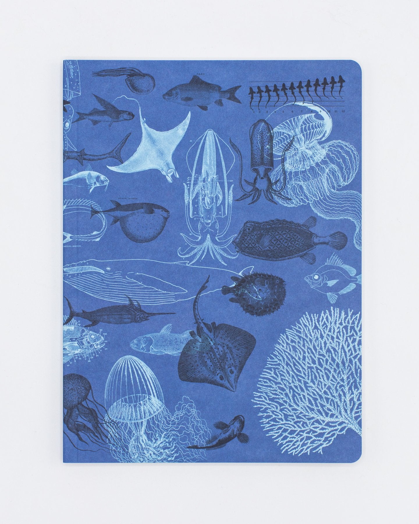 Marine Animals Softcover Notebook - Lined