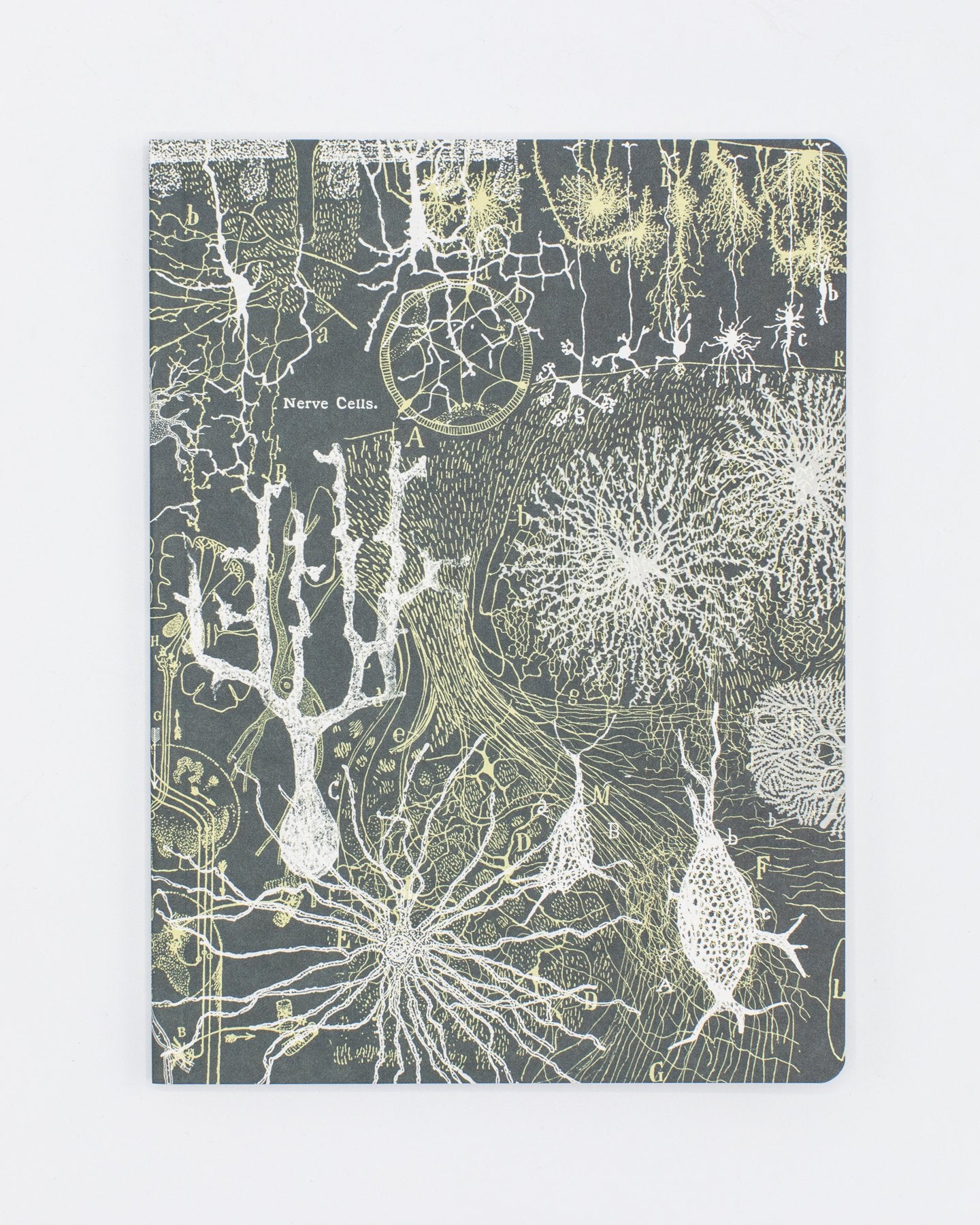 Neurons Softcover Notebook - Lined