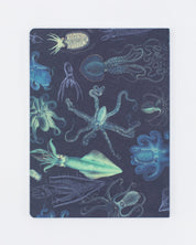 Cephalopods: Octopus & Squid Softcover Notebook - Lined