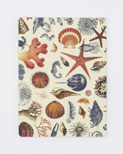 Shallow Seas Plate 2 Softcover Notebook - Lined