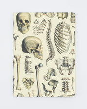Skeleton Plate 2 Softcover Notebook  - Lined