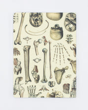 Skeleton Plate 2 Softcover Notebook  - Lined