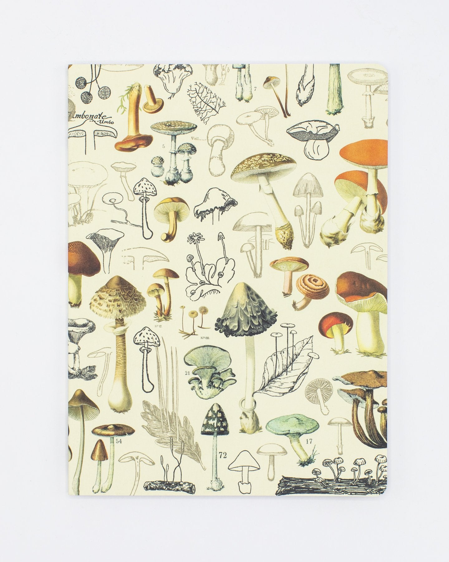 Mushrooms Plate 2 Softcover Notebook - Dot Grid