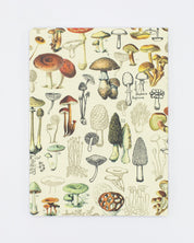 Mushrooms Plate 2 Softcover Notebook - Dot Grid