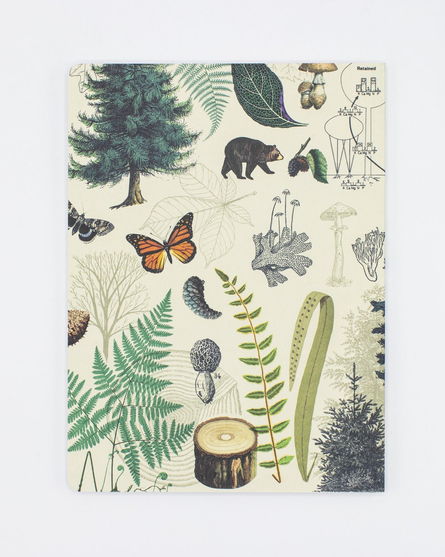 Woodland Forest Softcover Notebook - Lined