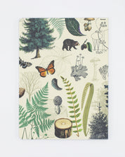 Woodland Forest Softcover Notebook - Lined