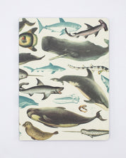 Whales & Seals Softcover Notebook - Lined