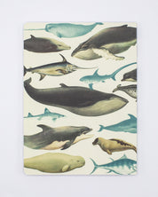 Wale & Robben Softcover - Gefüttert