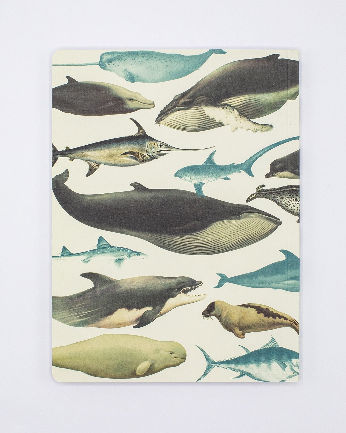 Whales & Seals Softcover Notebook - Lined