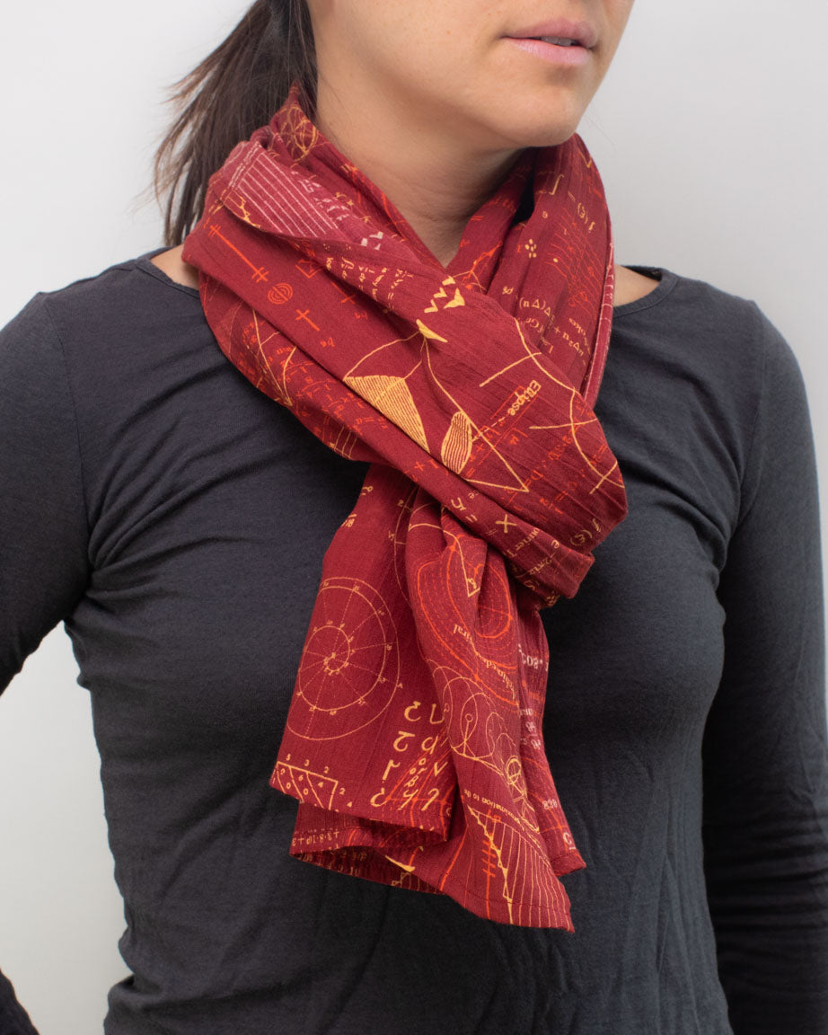 Equations That Changed the World Scarf