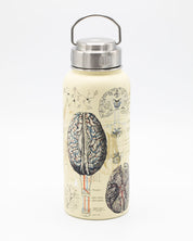 Brain & Neuroscience 950 mL Steel Bottle