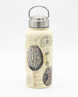 Borraccia in Acciaio 950 mL Cervello e Neuroscienze