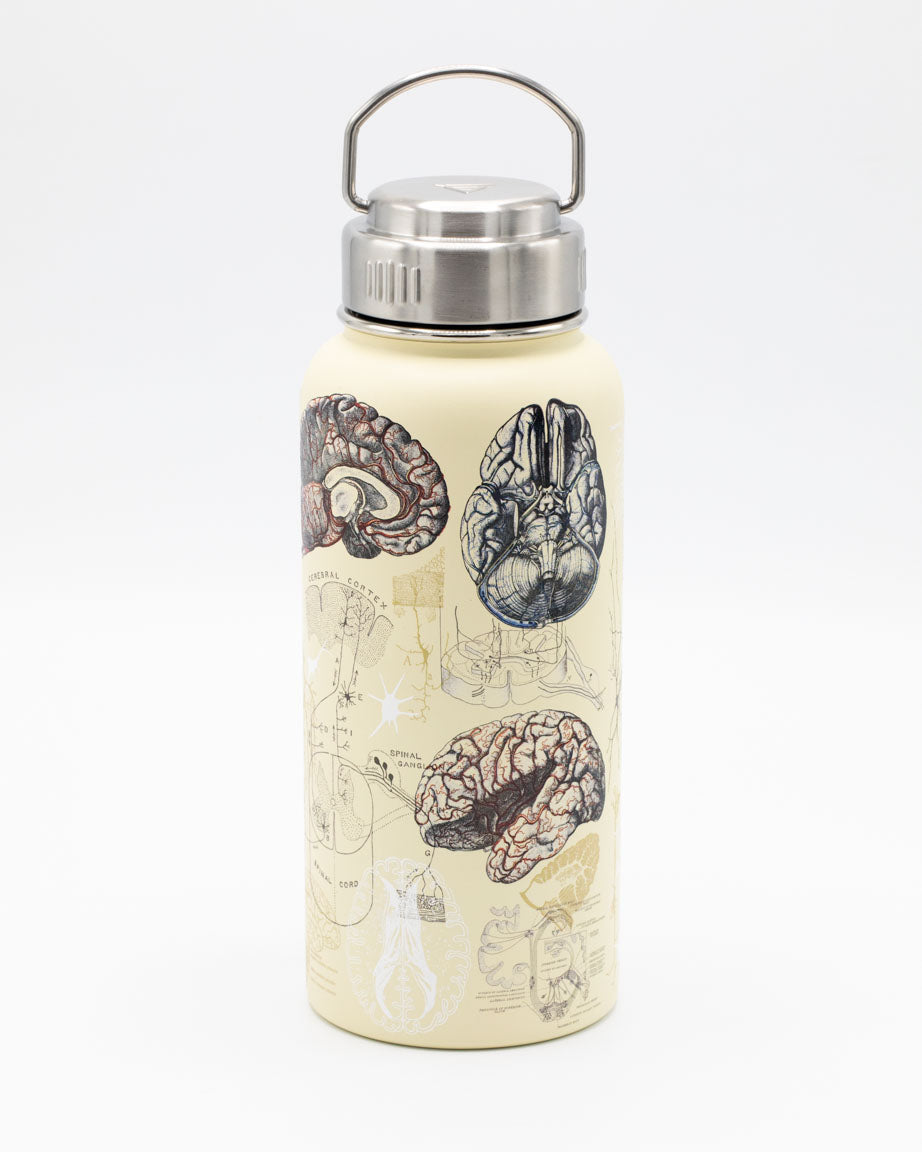 Brain & Neuroscience 950 mL Steel Bottle