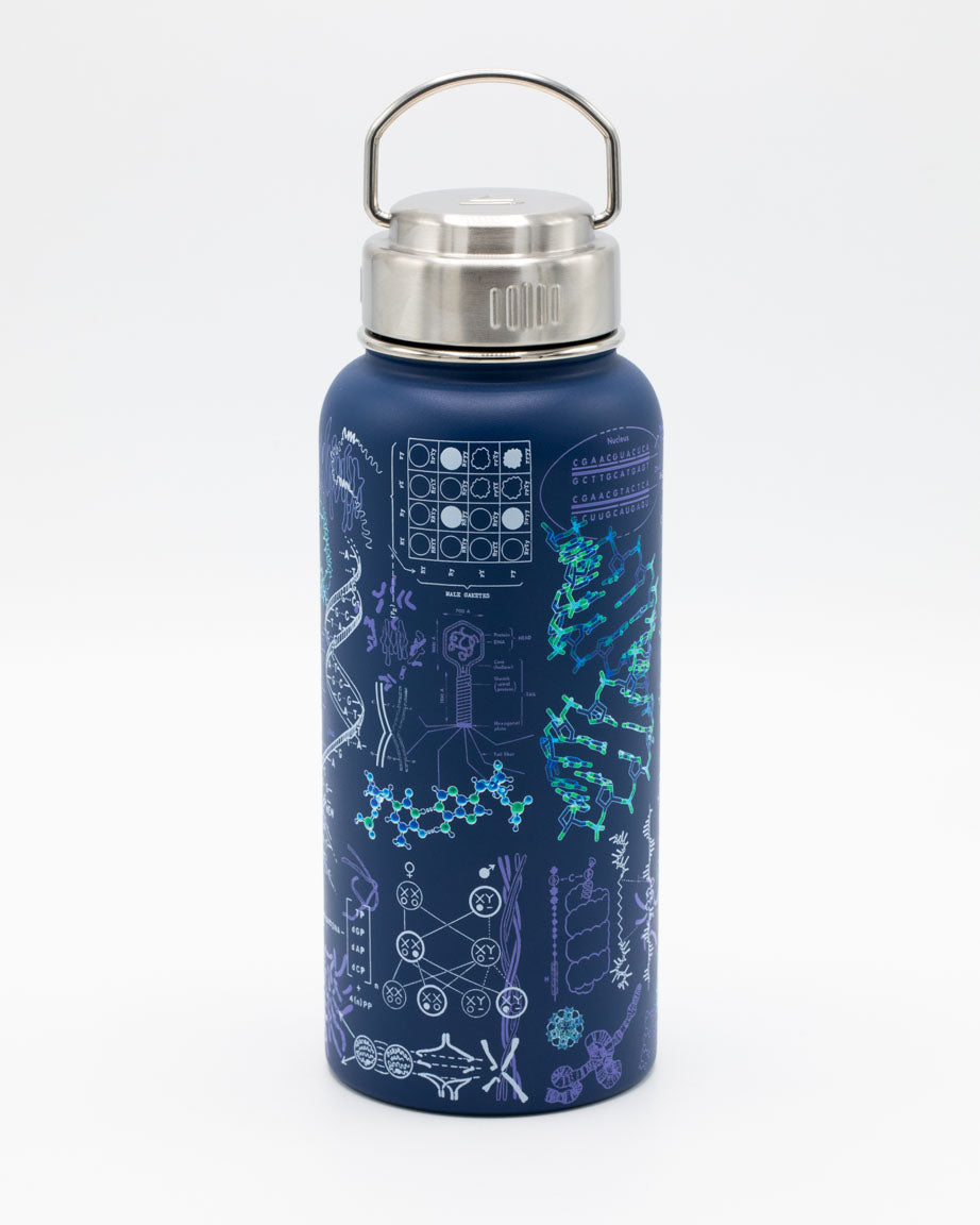 Genetics & DNA 950 mL Steel Bottle