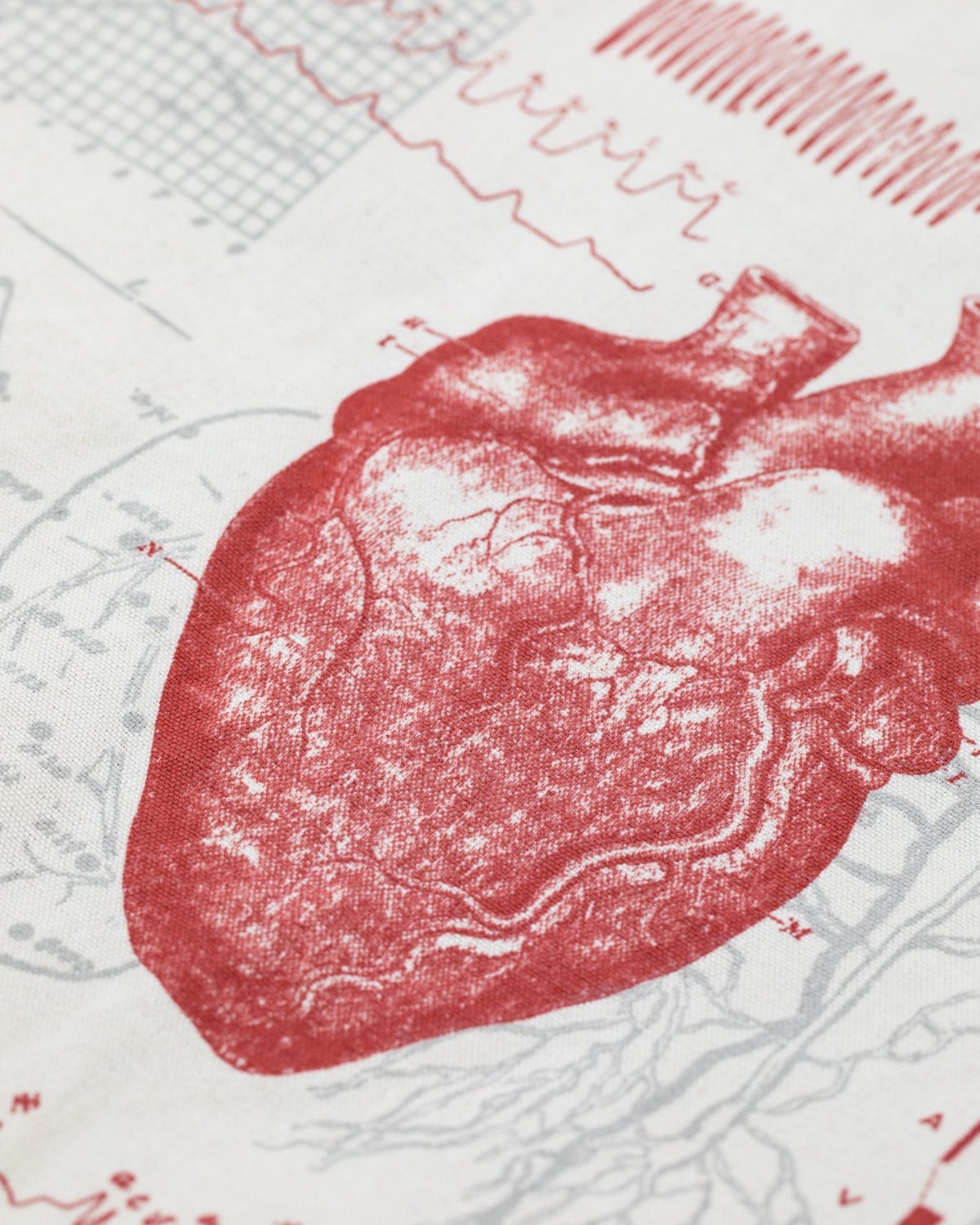 Anatomical Heart Canvas Shoulder Tote - Cognitive Surplus