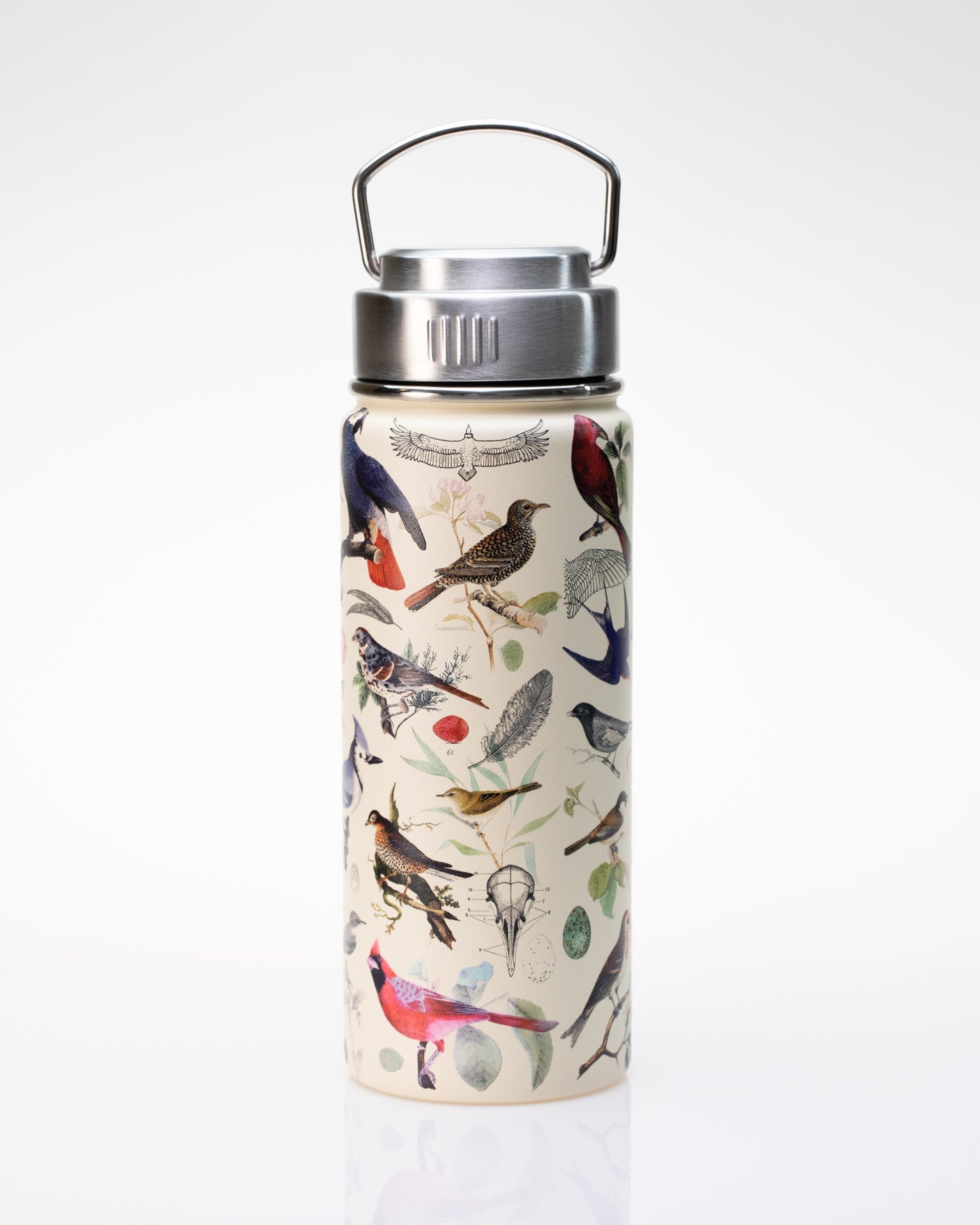 Birds 500 mL Steel Bottle