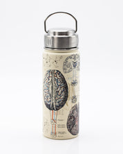 Brain & Neuroscience 500 mL Steel Bottle