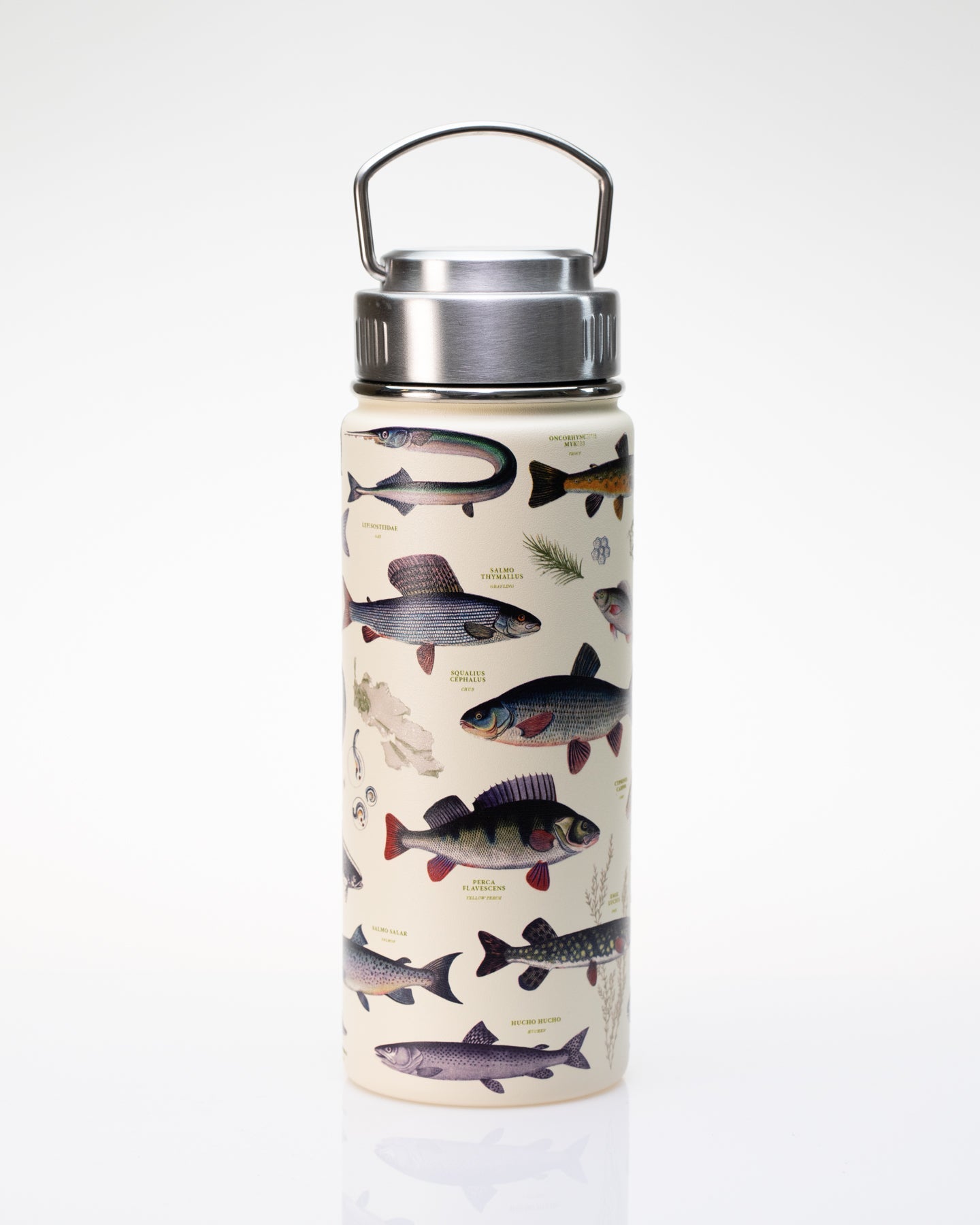 Freshwater Fish 500 mL Steel Bottle
