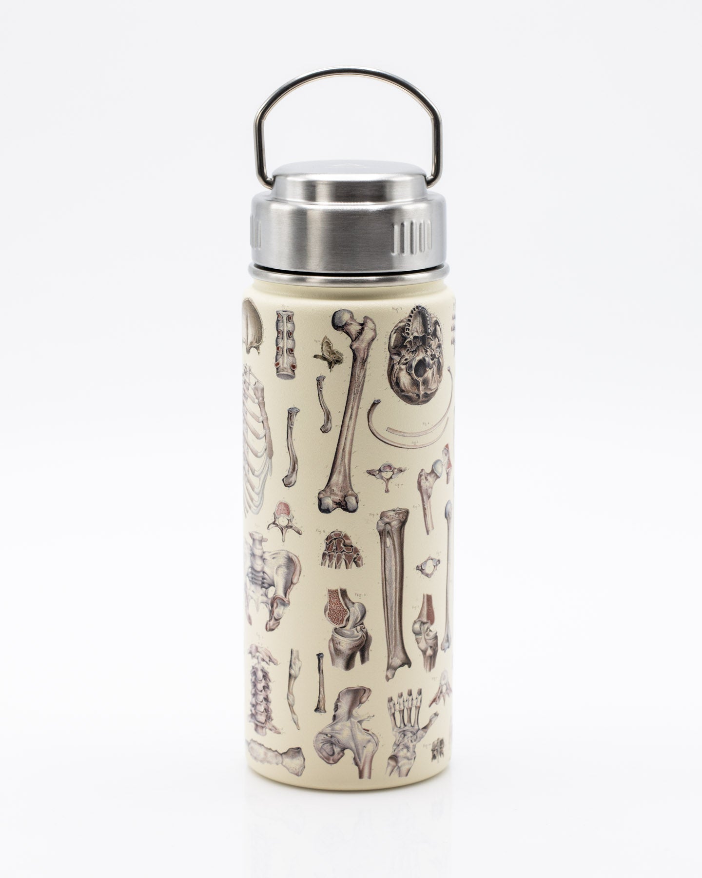 Skeleton 500 mL Steel Bottle