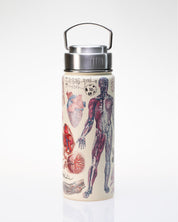 Human Anatomy 500 mL Steel Bottle