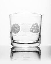 Rock Cycle Whiskey Glass