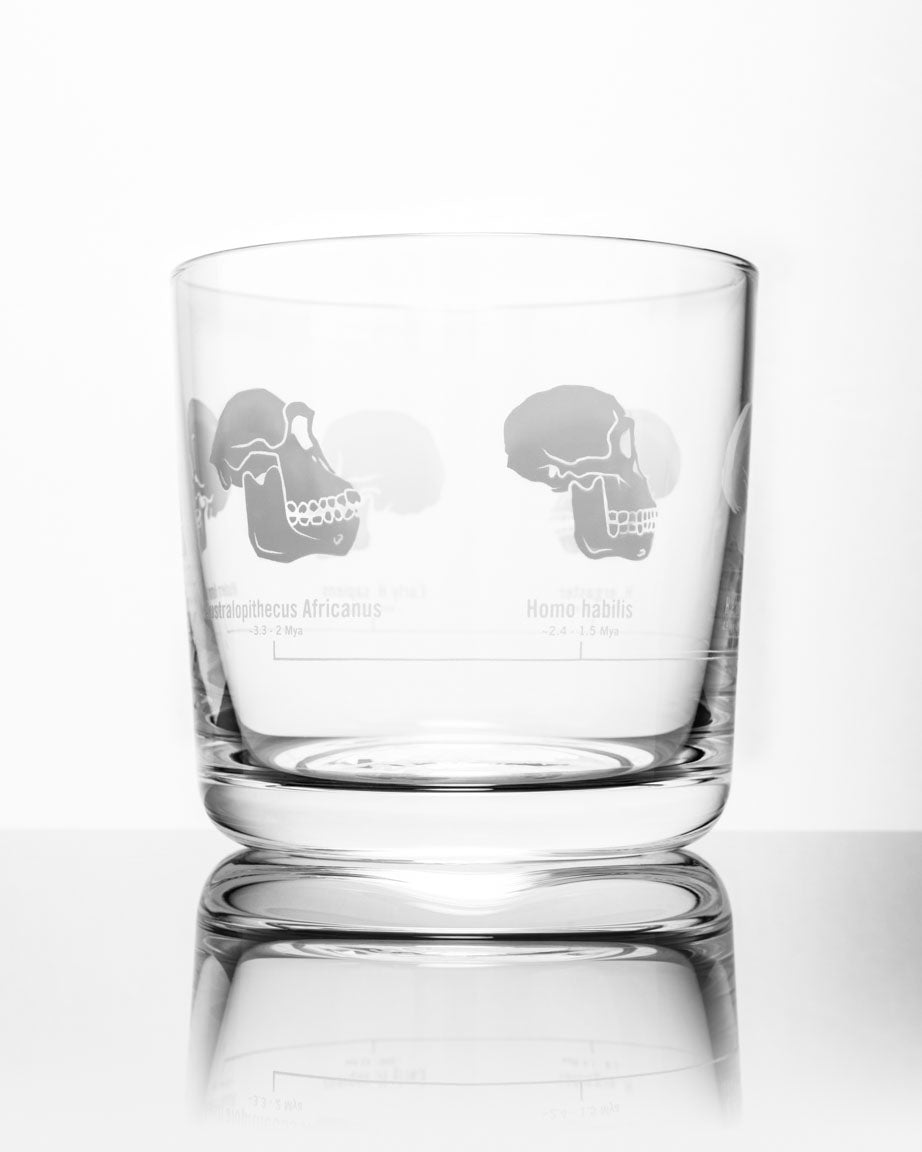 Hominid Skulls Whiskey Glass