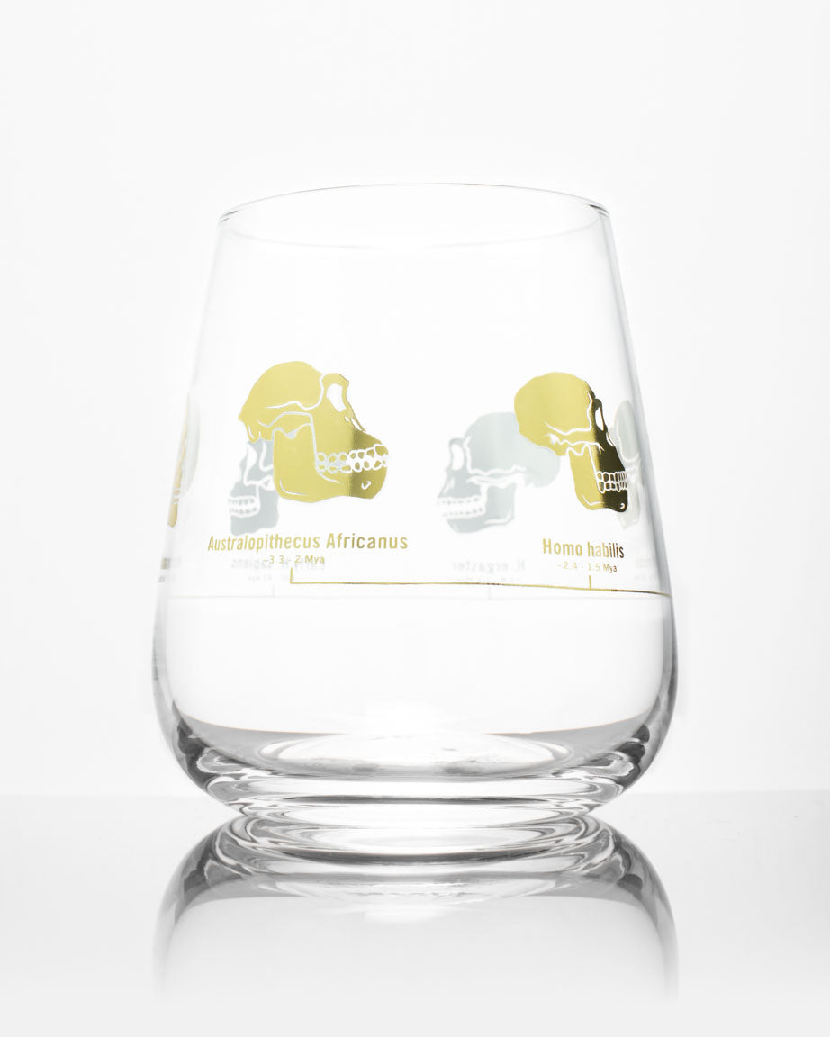 Hominid Skulls Wine Glass