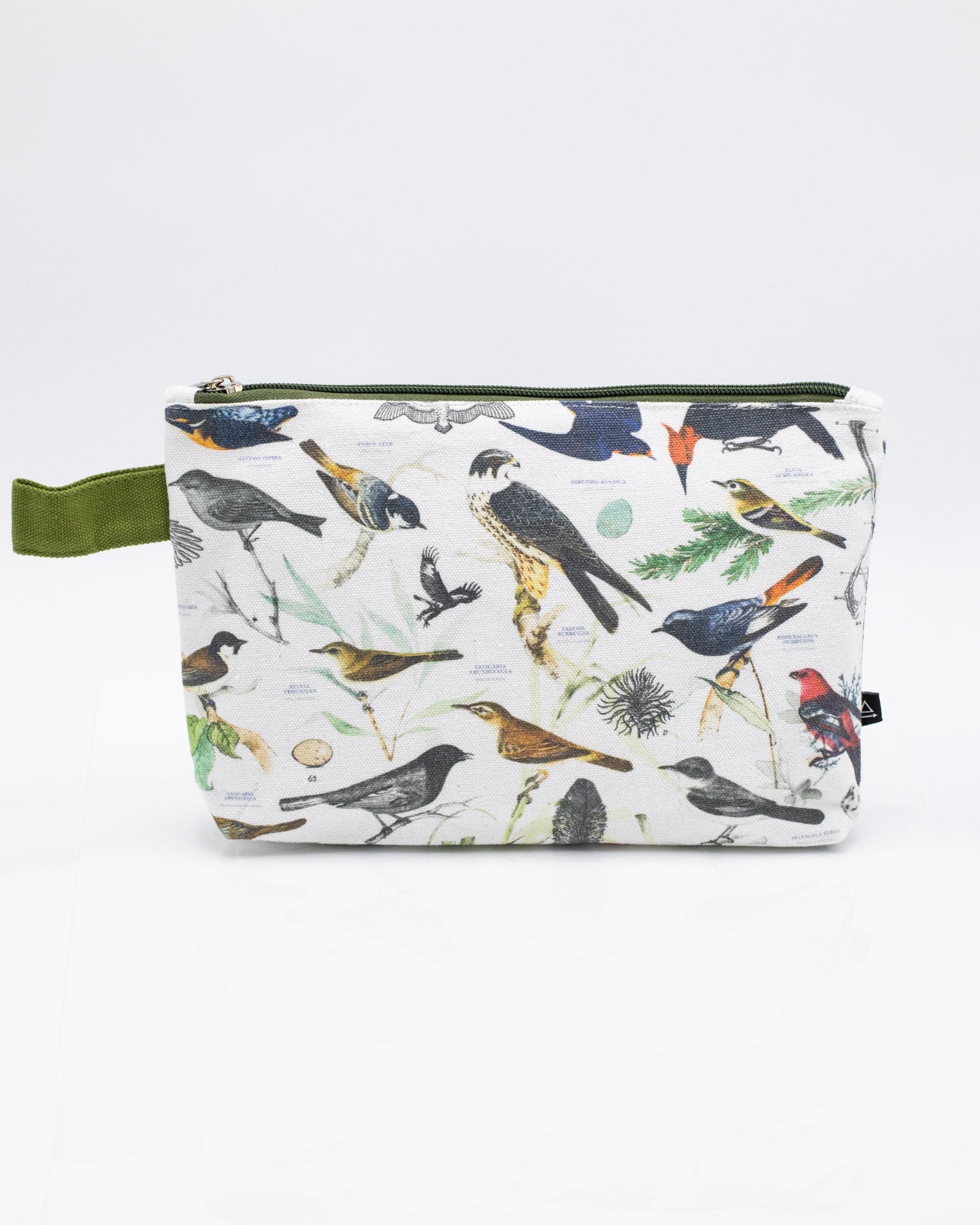 Ornithology: Birds Pencil Case