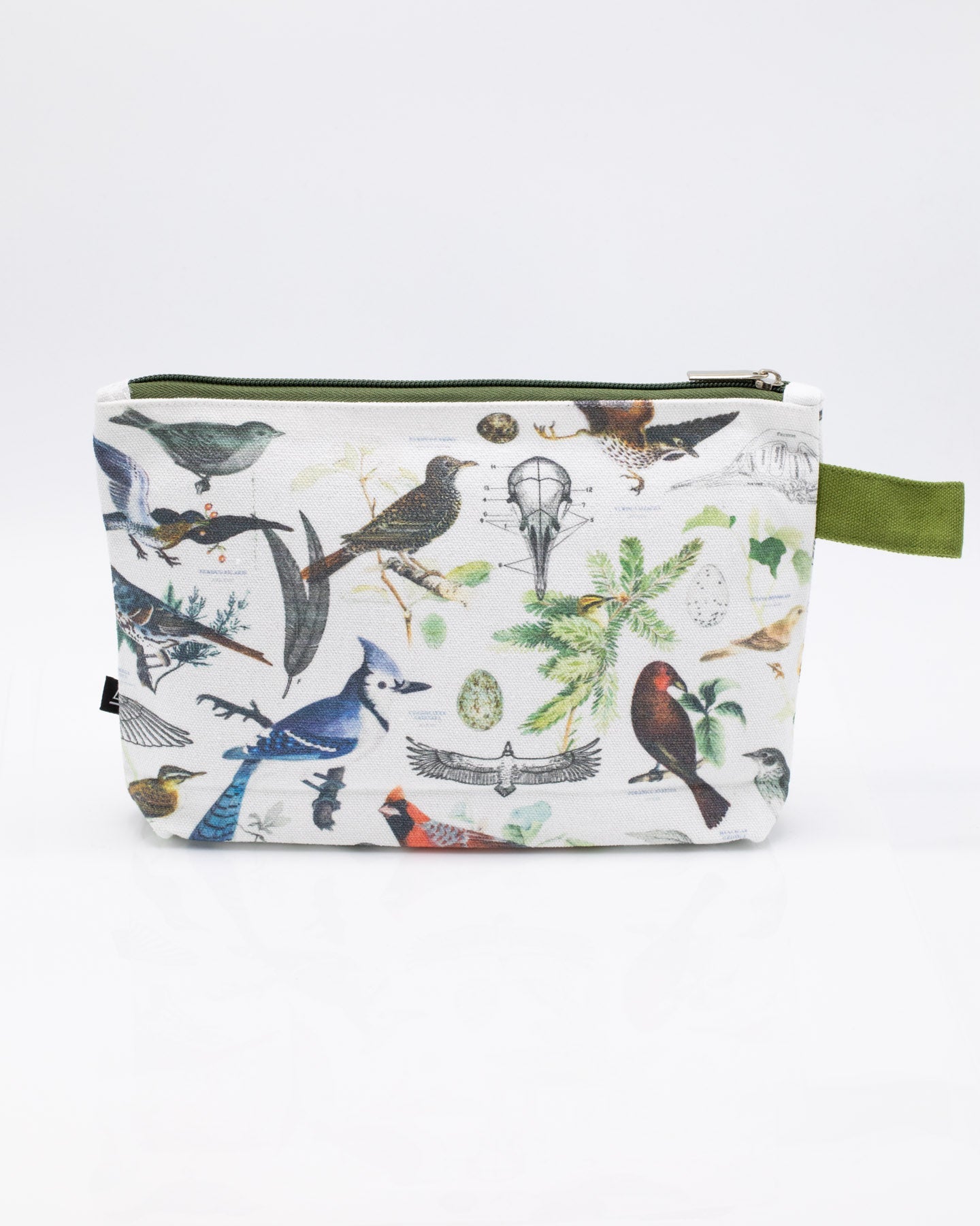 Ornithology: Birds Pencil Case