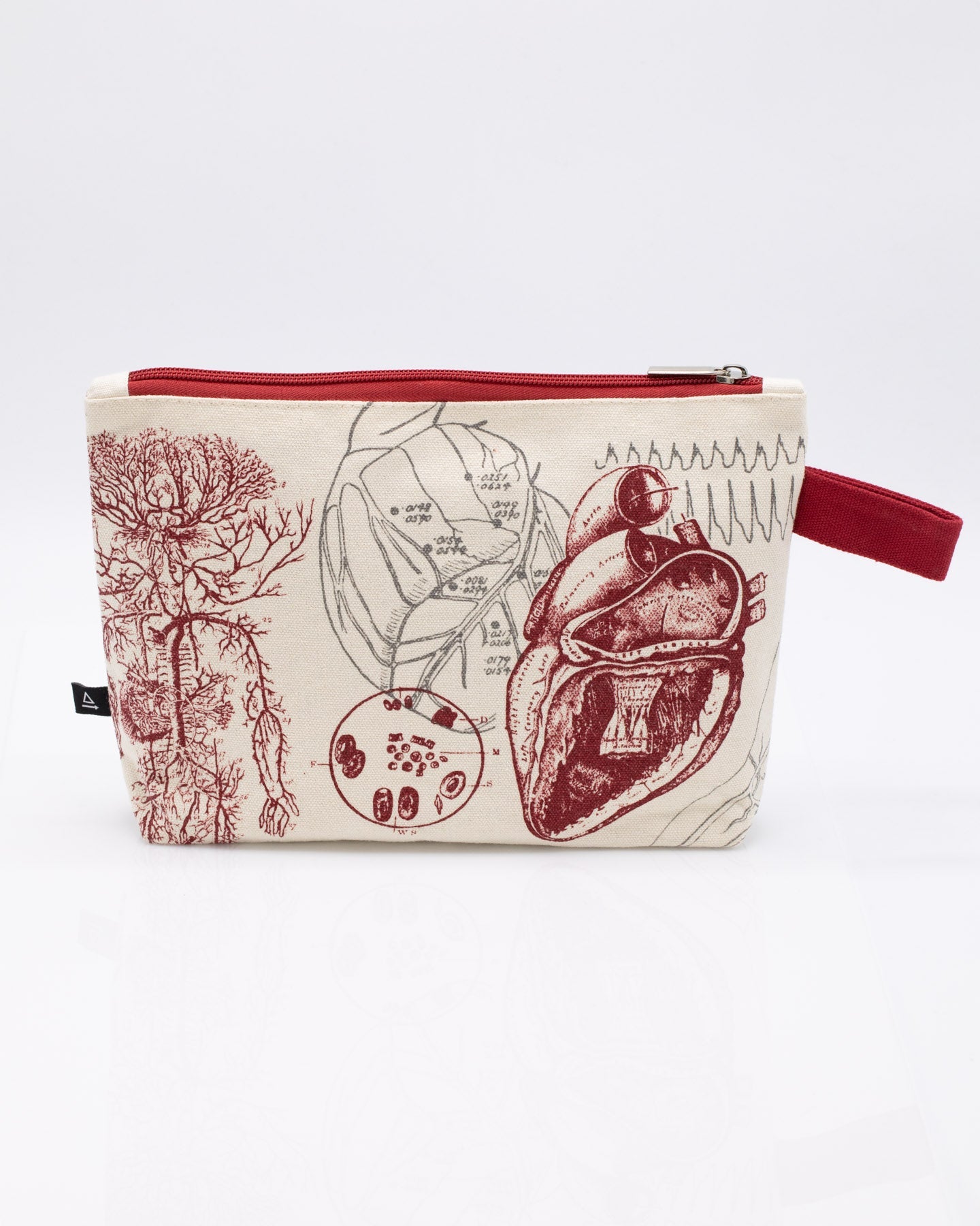 Trousse Coeur Anatomique