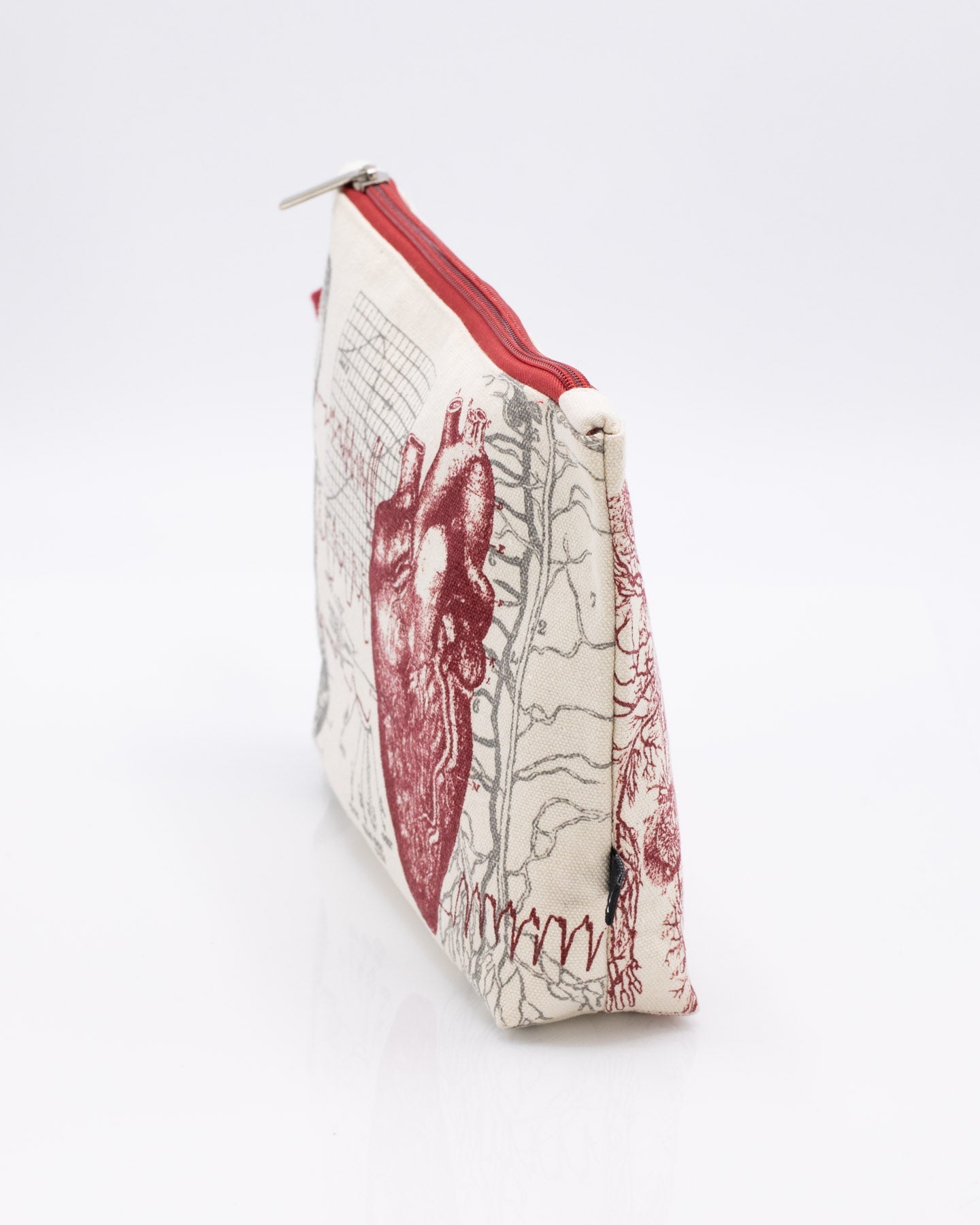 Anatomical Heart Pencil Case